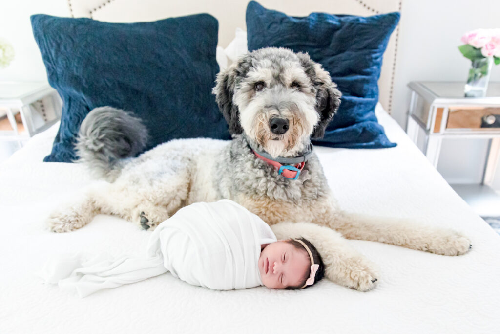 Newborn Photoshoot