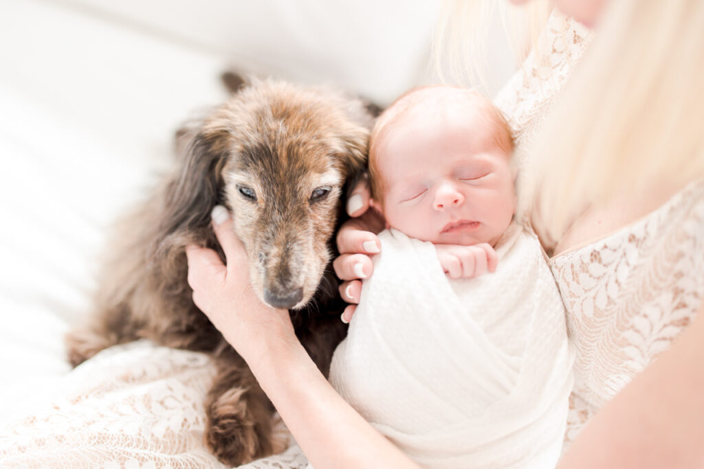winter baby photographer in Boston