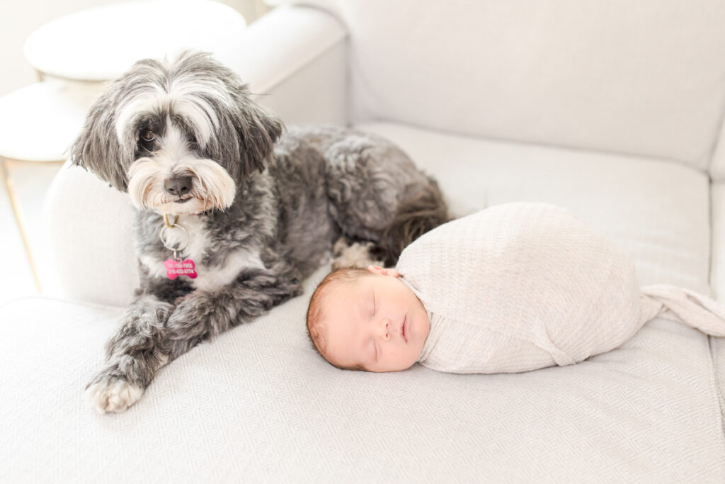 Boston baby photos
