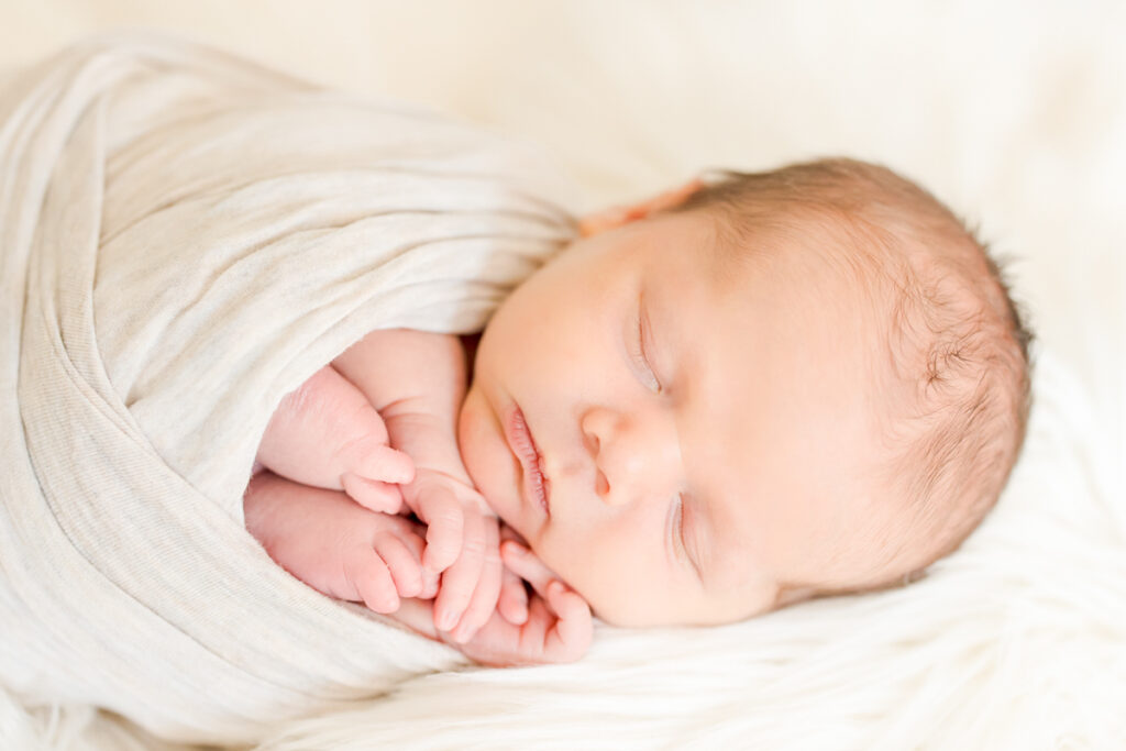 Boston baby photoshoot
